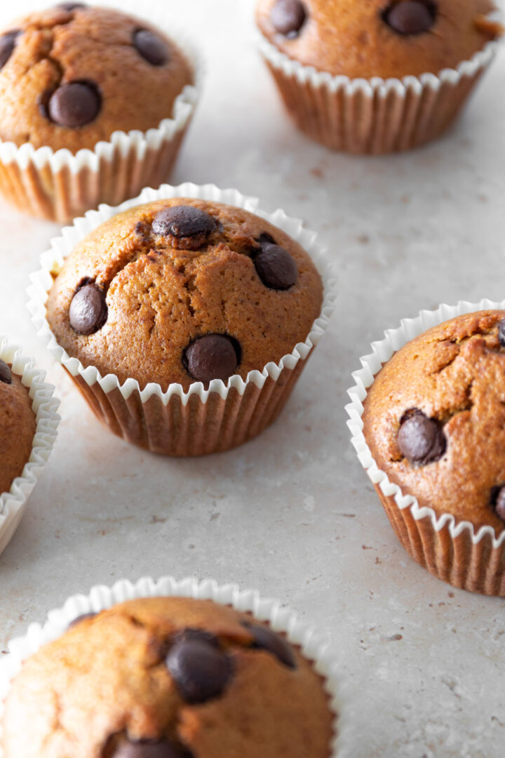 six muffins with chocolate chops on top of a beige board