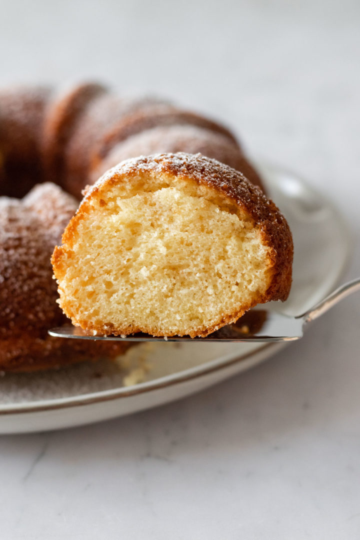 a serving utensil with a slice of cake on top